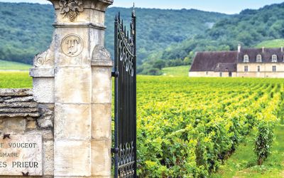 SEDUZIONI DI BORGOGNA