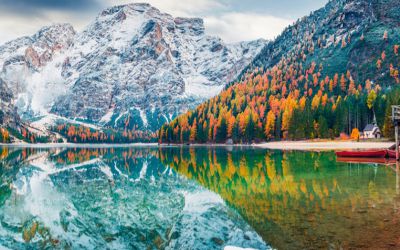 FOLIAGE E MELE IN ALTO ADIGE