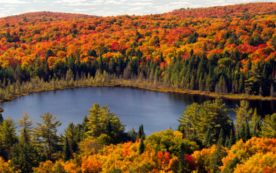 CANADA