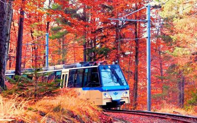 TRENO DEL FOLIAGE CENTOVALLI E LAGO D’ORTA