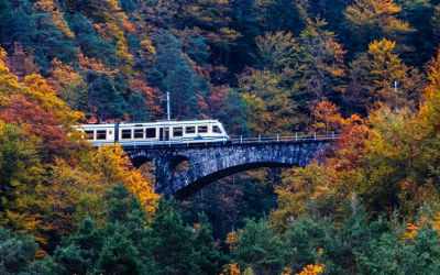 TRENO DEL FOLIAGE CENTOVALLI E LAGO D’ORTA