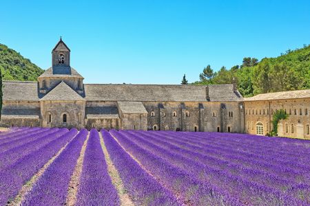 VELEGGIANDO IN UN MARE DI LAVANDA